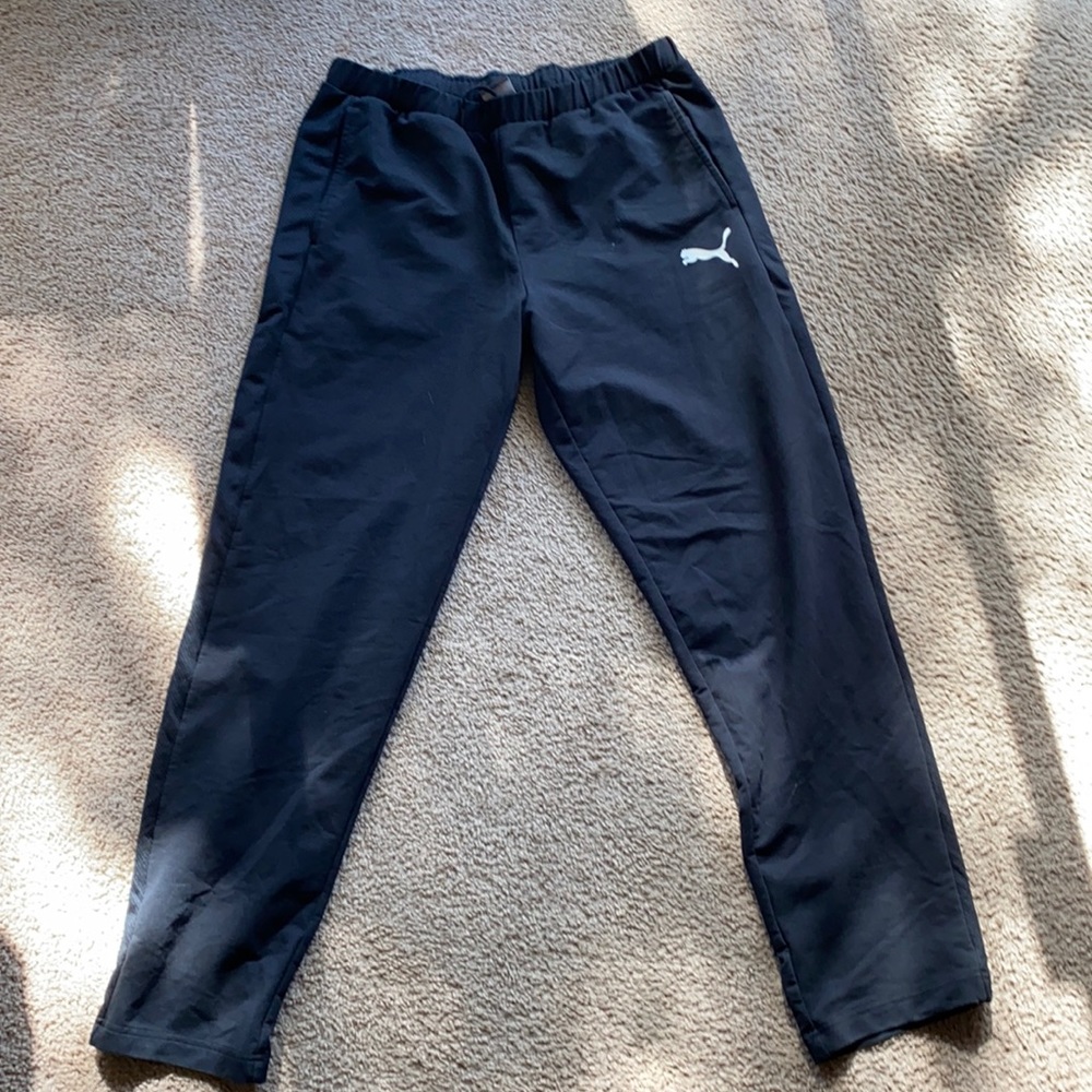 Puma Essentials Men's Logo Pants